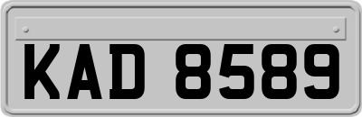 KAD8589