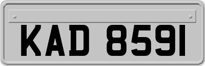 KAD8591