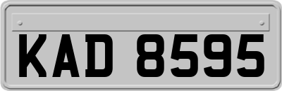 KAD8595