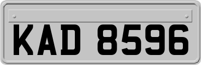 KAD8596