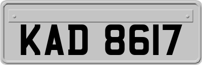 KAD8617