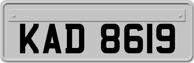 KAD8619