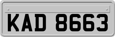 KAD8663
