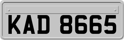 KAD8665