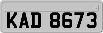 KAD8673