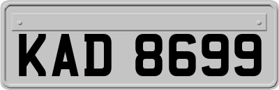 KAD8699