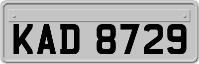KAD8729