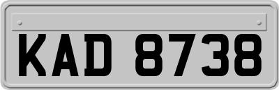 KAD8738