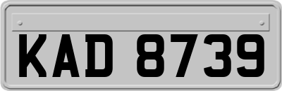 KAD8739