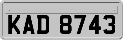 KAD8743
