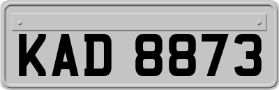 KAD8873
