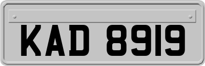 KAD8919