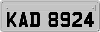 KAD8924