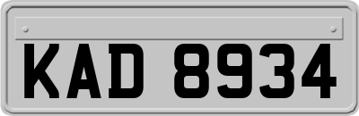 KAD8934