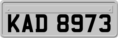 KAD8973