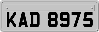 KAD8975