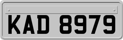 KAD8979