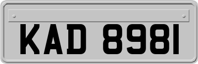KAD8981