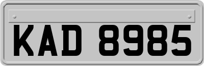 KAD8985