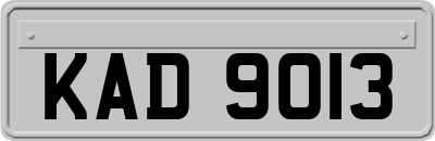 KAD9013