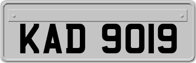 KAD9019