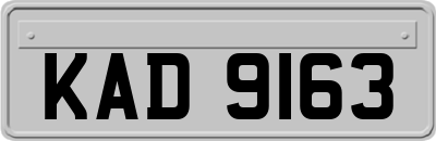 KAD9163