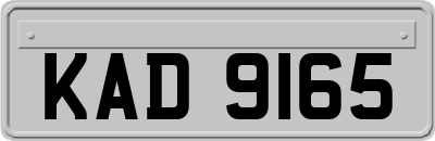 KAD9165