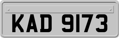 KAD9173