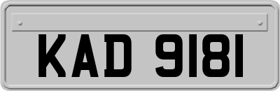 KAD9181