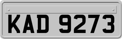 KAD9273