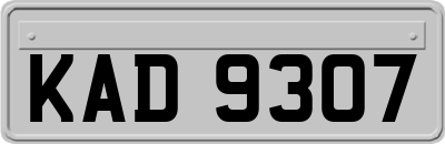 KAD9307