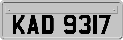 KAD9317