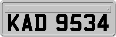 KAD9534