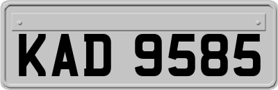KAD9585