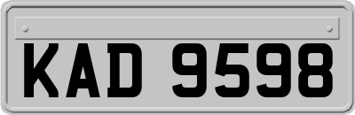 KAD9598