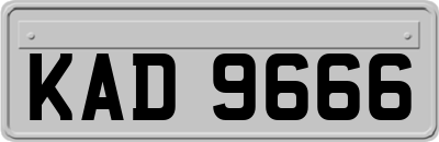 KAD9666