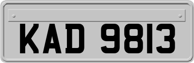 KAD9813