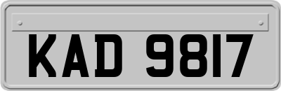 KAD9817