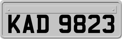 KAD9823