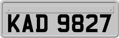 KAD9827