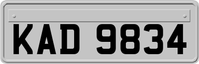 KAD9834