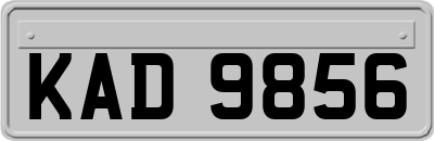 KAD9856