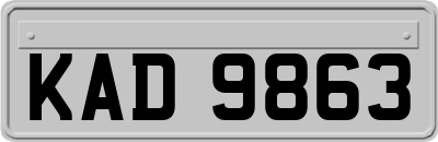 KAD9863