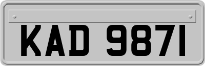 KAD9871