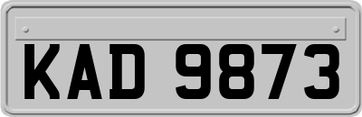 KAD9873