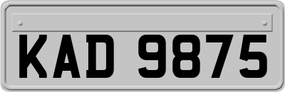 KAD9875
