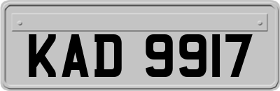 KAD9917