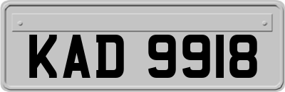KAD9918