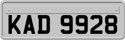 KAD9928