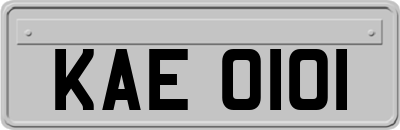 KAE0101